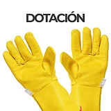 Dotación Personal